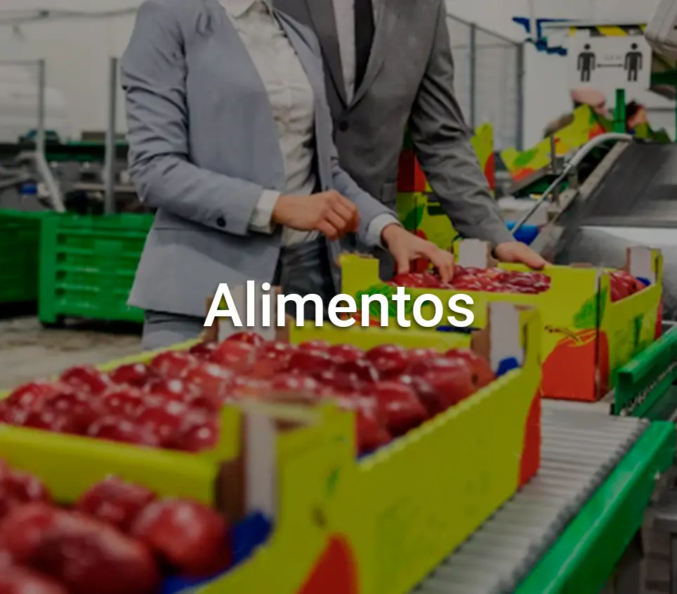 alimentos texto_webp