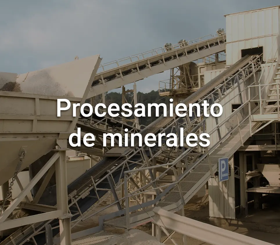 mineria texto_webp